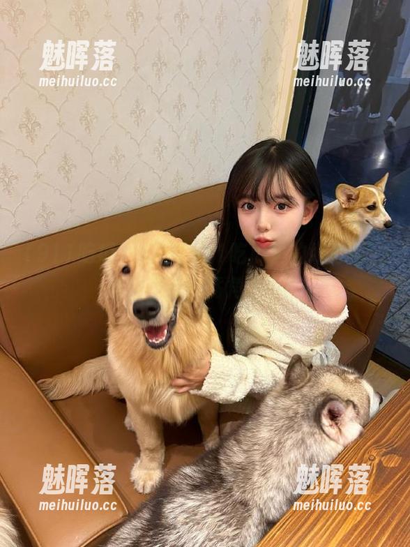 收藏在911吃瓜里的好心情，让你不停刷嘴角上扬！