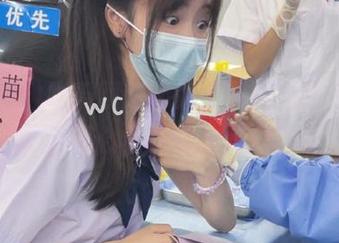吃瓜网：网页上无限畅吃瓜，完全不心疼钱包的秘籍？